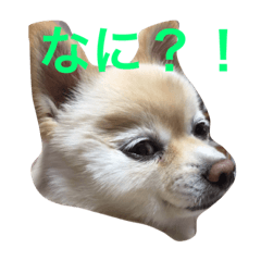 [LINEスタンプ] ONE sisters'