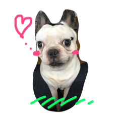 [LINEスタンプ] 坊です