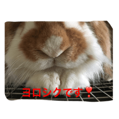 [LINEスタンプ] うさぎのうめさん