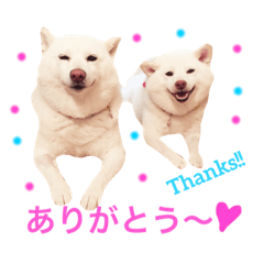 [LINEスタンプ] モフモフ親子☆凛と奈々