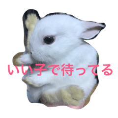 [LINEスタンプ] うさちゃんズ