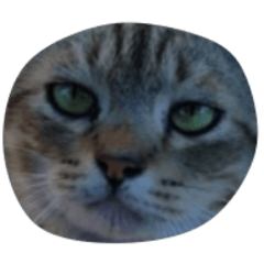 [LINEスタンプ] ROUNDY LAZY DAY