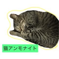 [LINEスタンプ] つくねちゃんアンモナイト