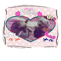 [LINEスタンプ] chicre