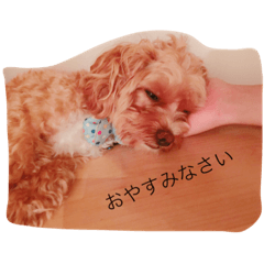[LINEスタンプ] marinbuuu