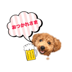 [LINEスタンプ] トイプーもこ♡