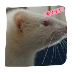 [LINEスタンプ] まつ子スタンプ2