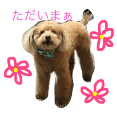 [LINEスタンプ] eitamikopon