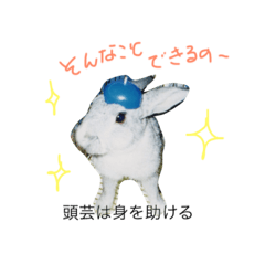 [LINEスタンプ] うさぎ的ことわざ