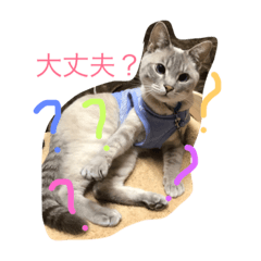 [LINEスタンプ] sora and meru