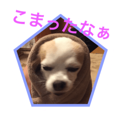 [LINEスタンプ] うめの1日