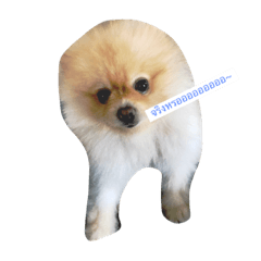 [LINEスタンプ] Khawnung