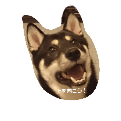 [LINEスタンプ] ayumusan
