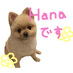 [LINEスタンプ] 鈴木はなです♩ ♩