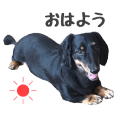 [LINEスタンプ] 渡部バディ