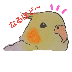 [LINEスタンプ] オカメいんこのひなぽ