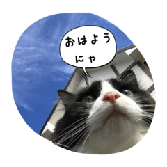 [LINEスタンプ] たりの日記