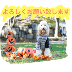 [LINEスタンプ] SEVEN SMILE