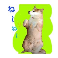 [LINEスタンプ] もふもふ ももちゃん