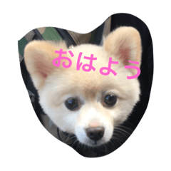 [LINEスタンプ] 山岡っちdogs