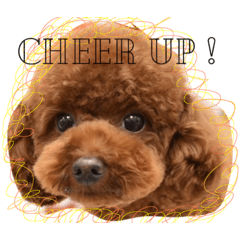[LINEスタンプ] COCO LIFE part1