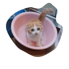 [LINEスタンプ] poke nyan