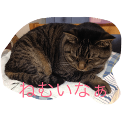 [LINEスタンプ] れおん(ちょいでぶ) 