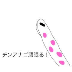 [LINEスタンプ] 二宮チンアナゴ