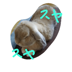 [LINEスタンプ] 耳垂れうさぎのうーちゃん