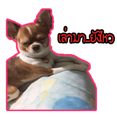 [LINEスタンプ] maliboojubjub