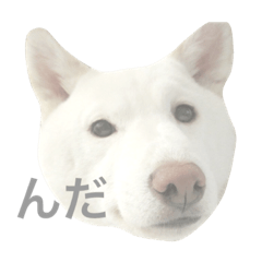 [LINEスタンプ] 津軽犬