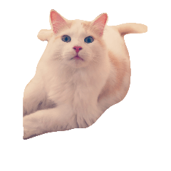 [LINEスタンプ] くれあとしえる