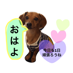 [LINEスタンプ] もずくのスタンプ