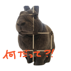 [LINEスタンプ] るるうさぎ2