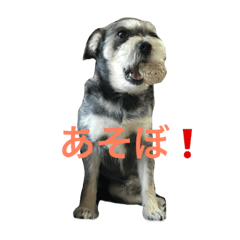 [LINEスタンプ] エースくん 2