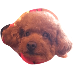 [LINEスタンプ] モカギズ