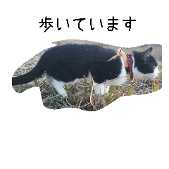 [LINEスタンプ] ある日のみくる