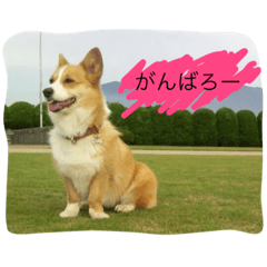[LINEスタンプ] MJふく  2