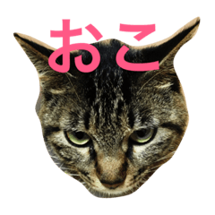 [LINEスタンプ] ふうちゃみりんもも