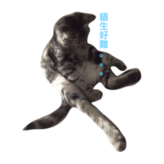 [LINEスタンプ] KiFi