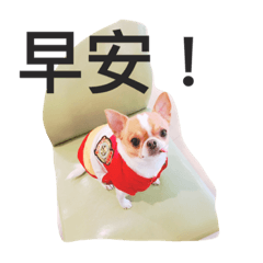 [LINEスタンプ] Candy  Candy