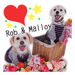 [LINEスタンプ] ミックス犬ロブとマロイ