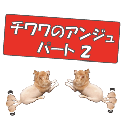 [LINEスタンプ] チワワのアンジュ2