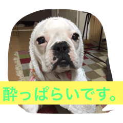 [LINEスタンプ] wasaeno2