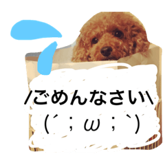 [LINEスタンプ] ほたるの毎日