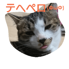 [LINEスタンプ] catsworld2