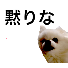 [LINEスタンプ] がちこまち
