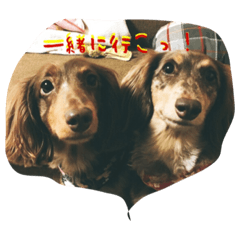 [LINEスタンプ] モニクラのつぶやき
