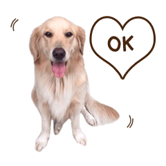 [LINEスタンプ] PP Beautiful Dog
