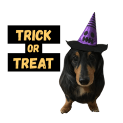 [LINEスタンプ] ハロウィン衣装の犬